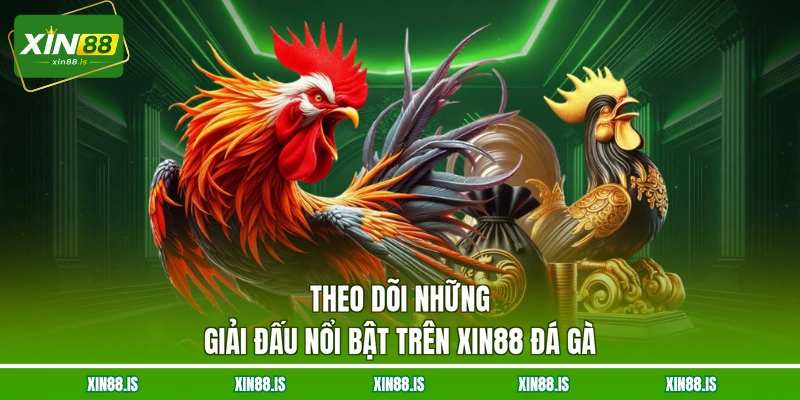 theo-doi-nhung-giai-dau-noi-bat-tren-xin88-da-ga