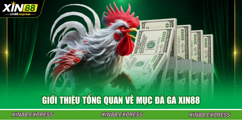 gioi-thieu-tong-quan-ve-muc-da-ga-xin88
