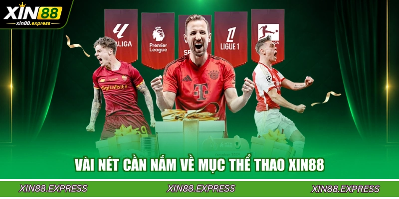 vai-net-can-nam-ve-muc-the-thao-xin88