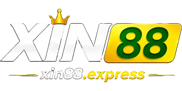 xin88.express